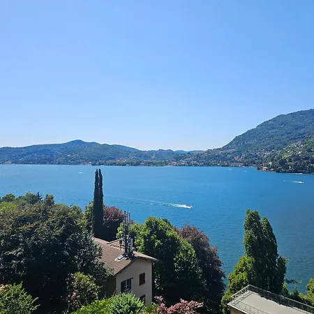 Botanic Garden * ブレーヴィオ