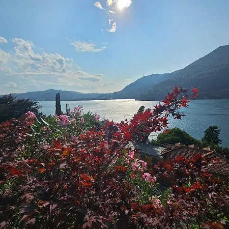 Botanic Garden Διαμέρισμα