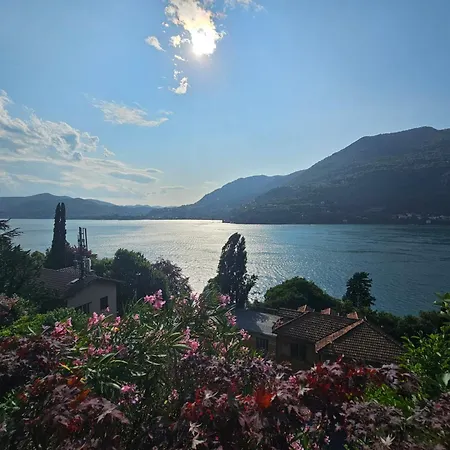 Botanic Garden アパート