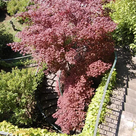 Botanic Garden Apartament