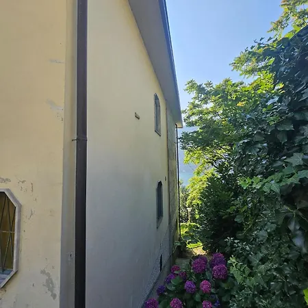 Apartament Botanic Garden *
