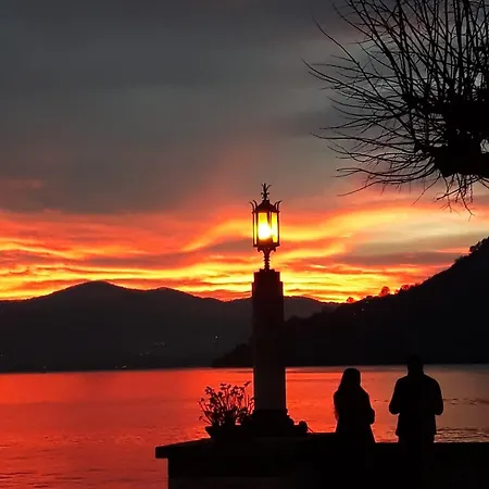 Botanic Garden * بْليفيو