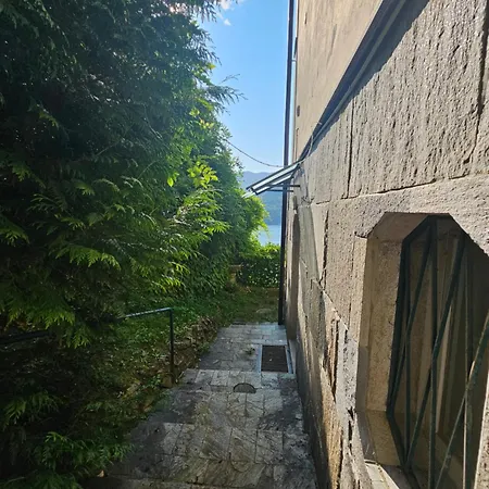 Botanic Garden بْليفيو