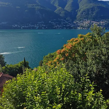 Botanic Garden بْليفيو